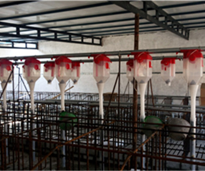 自贡养猪自动化料线