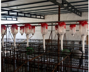 自贡养猪自动化料线